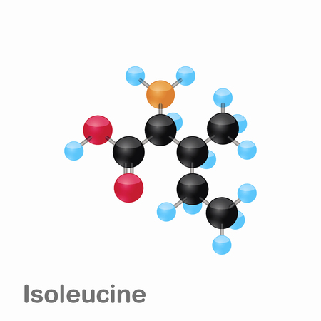 Molecular omposition and structure of Isoleucine, Ile, best for books and educationのイラスト素材