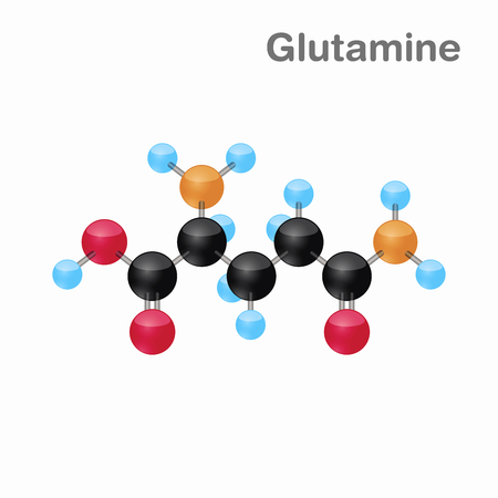 Molecular omposition and structure of Glutamine, Gln, best for books and educationのイラスト素材