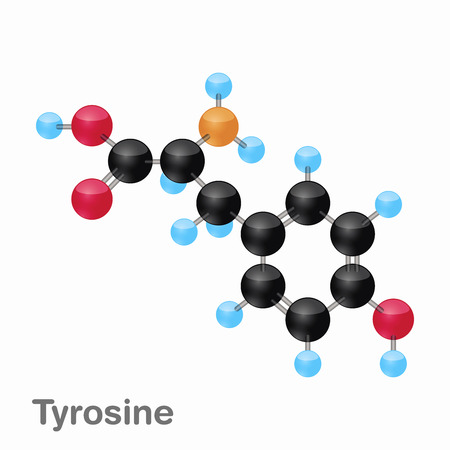 Molecular omposition and structure of Tyrosine, Tyr, best for books and educationのイラスト素材