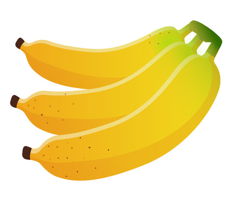 Bananas bunch, vector illustration, isolated on white backgroundのイラスト素材