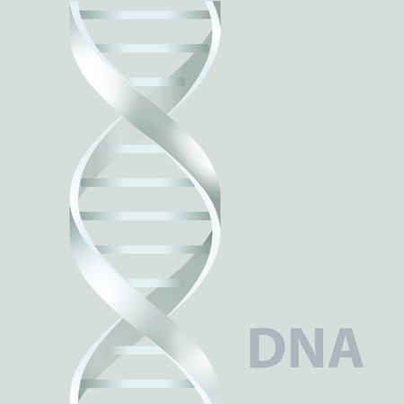 Dna. 3d stile, vector illustration, isolated on white backgroundのイラスト素材