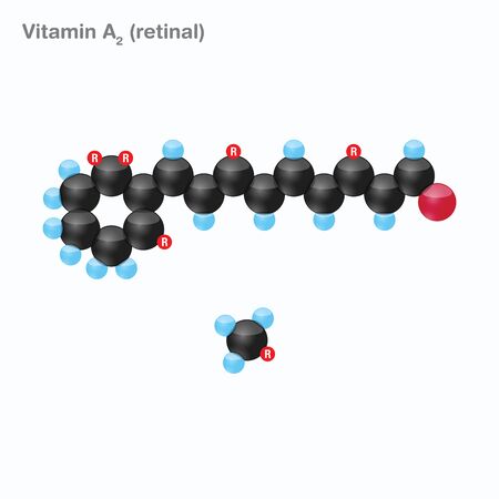 The molecule of vitamin A2 (retinal). Vector illustration in 3d style, isolated on white background.のイラスト素材