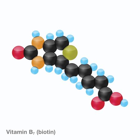 The molecule of vitamin B7 (biotin). Vector illustration in 3d style, isolated on white background.のイラスト素材