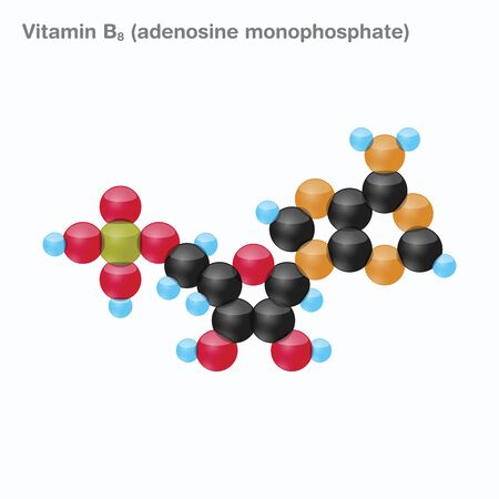 The molecule of vitamin B8 (adenosine monophosphate). Vector illustration in 3d style, isolated on white background.のイラスト素材