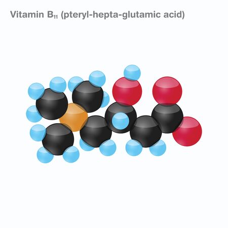 The molecule of vitamin B11 (pteryl-hepta-glutamic acid). Vector illustration in 3d style, isolated on white background.のイラスト素材