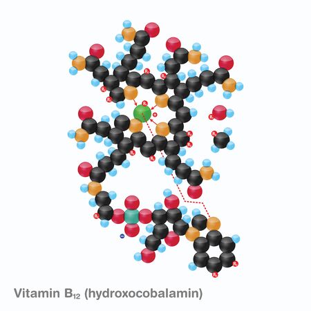 The molecule of vitamin B12 (hydroxocobalamin). Vector illustration in 3d style, isolated on white background.のイラスト素材