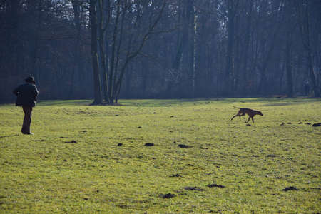Man wakling in a park with his dog.の写真素材