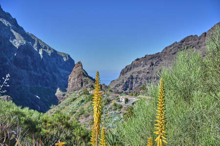 View of the Masca valley in Tenerife, Spain. Masca canyon in Tenerife.の写真素材