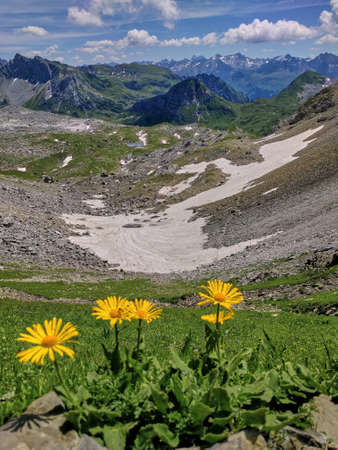 Mountain landscape during summer with remaining snowfields and yellow flowers in the foreground.の写真素材