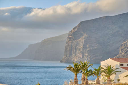 Panoramic coastline in Tenerife, Spain. Huge cliffs at the coastline of Tenerife with palm trees in the foreground.の写真素材