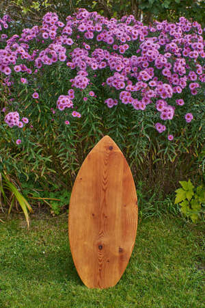 Homemade balance board in the garden. Diy wooden balance board standing outside in front of purple flowers. Purple asters.の写真素材
