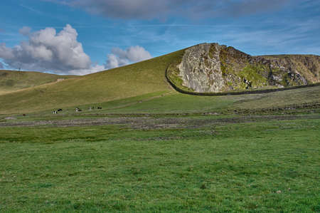 Beautiful coastline at the Ring of Kerry. Green meadow with cows close to Portmagee in Ireland.