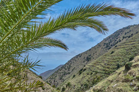 Panoramic landscape on La Gomera, Spain. Lonely landscape in La Gomera. Panoramic mountain landscape on the canary islands. Panoramic landscape with palm trees and terraced fields.の写真素材