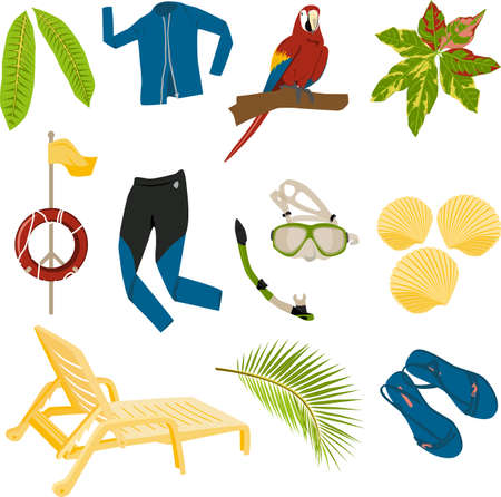 summer items set from tropical plants, parrot, swimming suit for surfing, swimming mask, snorkel, shells, sun lounger, flip flops, lifebuoy isolated, active holidays objectsのイラスト素材