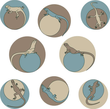 set of different lizards round frameのイラスト素材