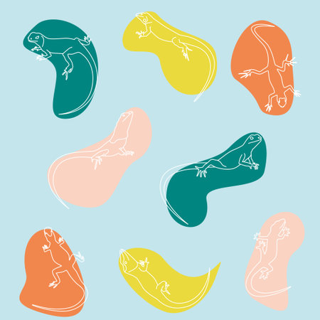 set of white outline lizardrs on colored spots, summer colorsのイラスト素材