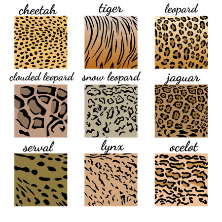 Matching game. Find cat family corect pattern. Seek animals texture. Quiz, game and activity page. Vector illustration.のイラスト素材