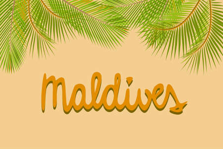 Maldives handwritten text, green palm leaves yellow background, poster banner card template, vector illustrationのイラスト素材