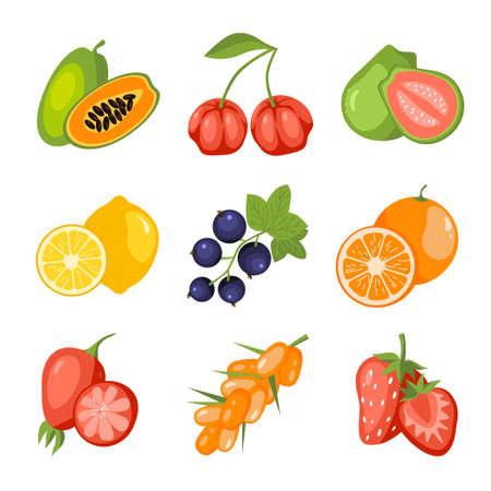 Fruits and berries cartoon icon set. Papaya, acerola cherry, guava, lemon, blackcurrant, orange, rosehip, sea buckthorn, strawberry. Vitamin healthy food. Education card for kids vector illustrationのイラスト素材