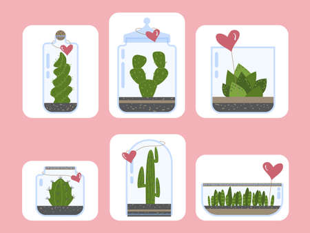 Terrarium plants set. Cactus succulent florarium in glass vase with heart card, cute terrariums with exotic plants, cactus in the bottle for present green plants vector illustrationのイラスト素材