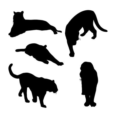 Set of big tiger black silhouettes. Chinese tigers in different poses vector illustrationのイラスト素材