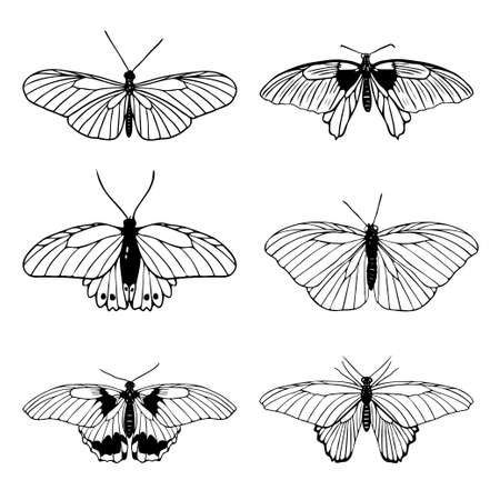 Set of hand drawn black outline butterflies on white background. Butterfly miimalistic sketch. Papilionidae, heliconius charithonia, hypolimnas bolina. Vector illustrationのイラスト素材