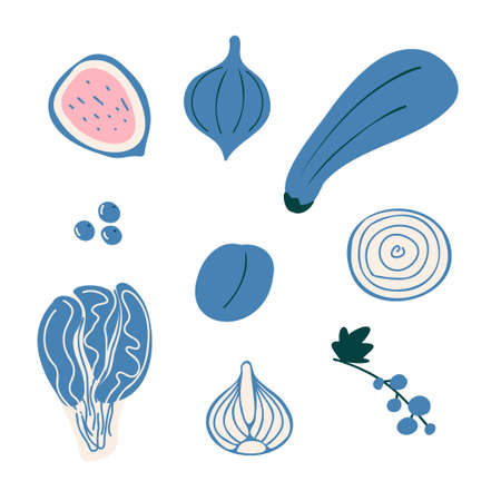 Abstract simple blue fruit and vegetables set, vegeterian food collection. Fresh doodle kids plum, sliced fig, eggplant, berries, onion, chinese cabbage healthy menu poster pattern vector illustrationのイラスト素材