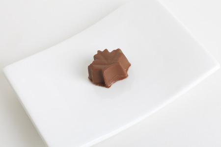 A beautiful chocolate like tasty on plateの写真素材