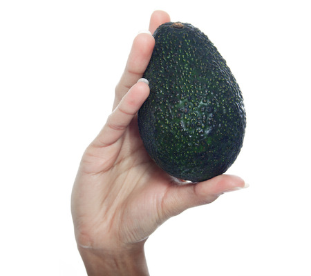 A hand holding avocado in studio white background
