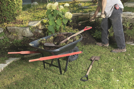 Gardeners