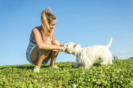 A portrait of beautiful girl keeping pretty white West Highland dog outdoorの写真素材