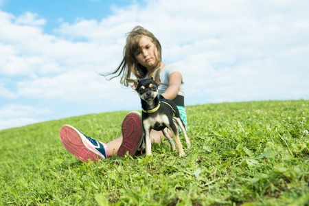 A portrait of girl keeping pretty dog outdoorの写真素材