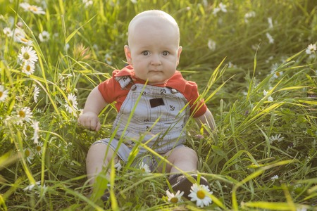 A Small charming toddler boy in a field with daisies in the summer and smilesの写真素材