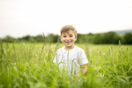Happy boy in the meadowの写真素材