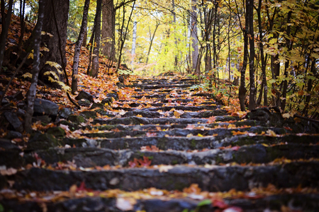 A steps in golden autumn forest, tourist footpath.