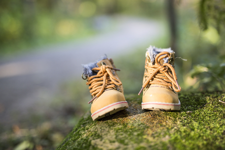 two baby boot in forest forest on a rockの写真素材