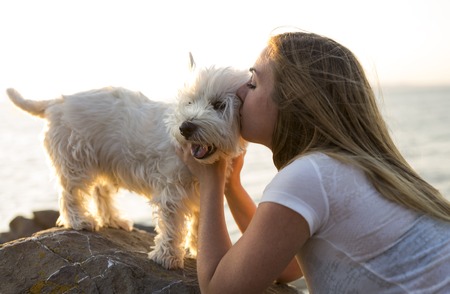 A portrait of beautiful girl keeping pretty white West Highland dogの写真素材