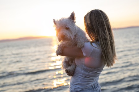 A portrait of beautiful girl keeping pretty white West Highland dogの写真素材