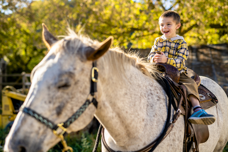 in a beautiful Autumn season of a young boy and horseの写真素材