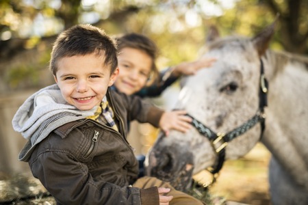 in a beautiful Autumn season of a young brother and sister with horseの写真素材