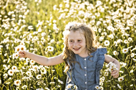 Cute child girl at camomile field daisyの写真素材