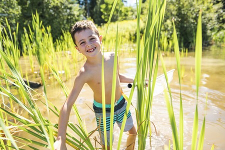 Cute Boy fishing with a net on a lakeの写真素材