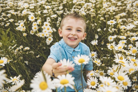 child on green daisy grass in a summer park sunset timeの写真素材