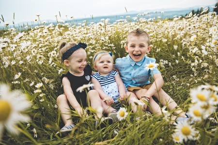 three cute childs playing in green daisy fieldの写真素材