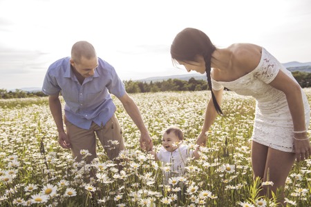 parent walking with her baby son on daisy field at the sunset timeの写真素材