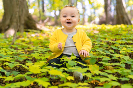 baby sit on the ground on a forestの写真素材