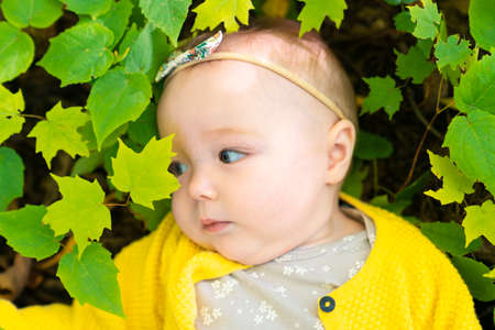 baby lay on the ground on a forestの写真素材