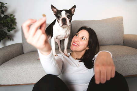 Woman with is Boston Terrier on the living room holding food
