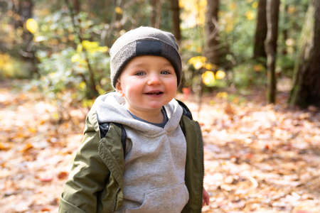 Little toddler boy in autumn park walking lonelyの写真素材