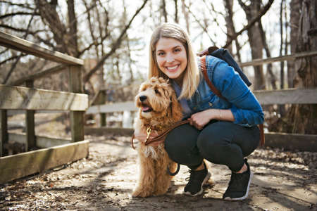 Happy Labradoodle Dog and woman outside at the parkの写真素材